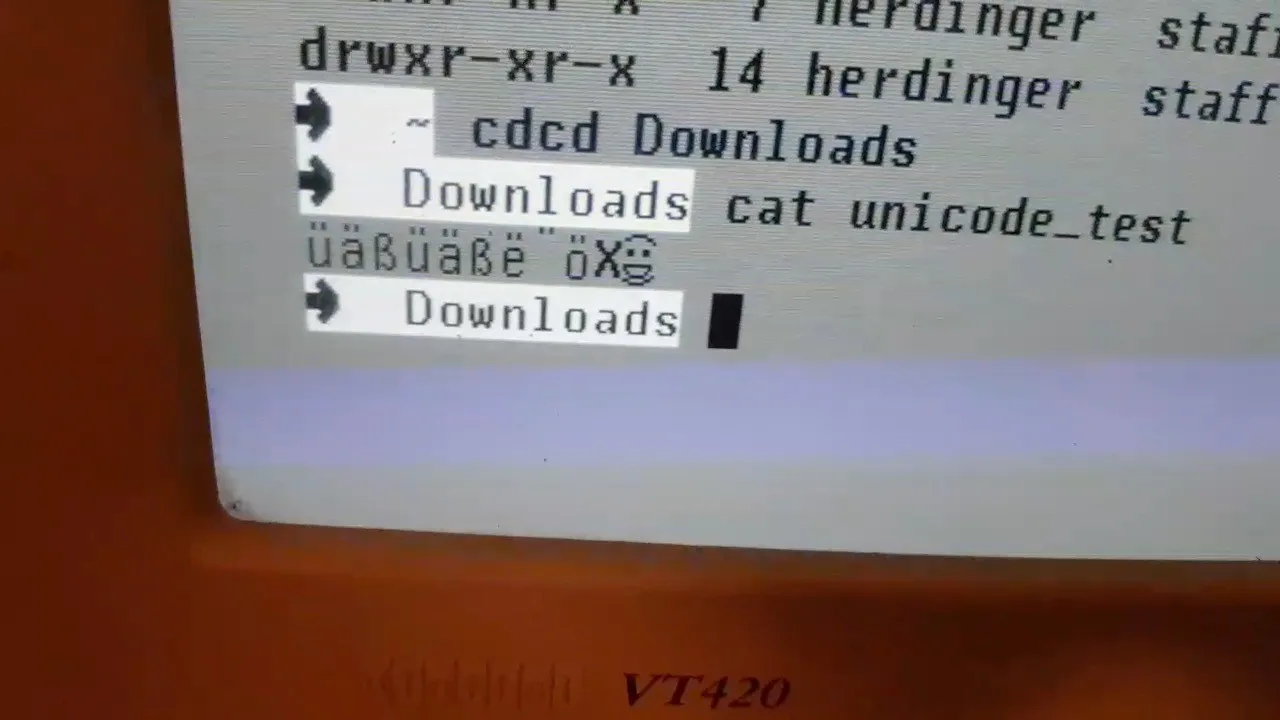 A VT420 terminal showing the output of a unicode file, umlauts display correctly.